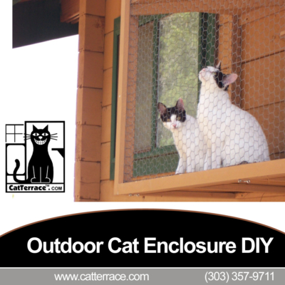 Outdoor-cat-enclosure-DIY