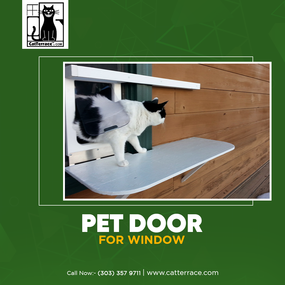The Great Idea of Having Pet Window Doors! Cat Terrace